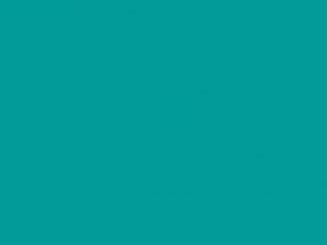 054 Turquoise 1260mm x 50m - Image 1